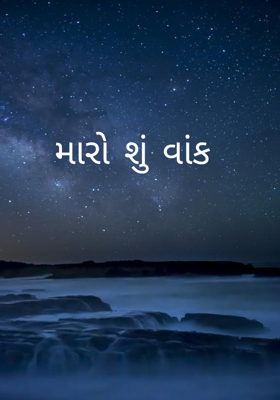 મારો શું વાંક