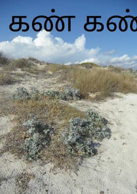 கண் கண்ட தெய்வம்