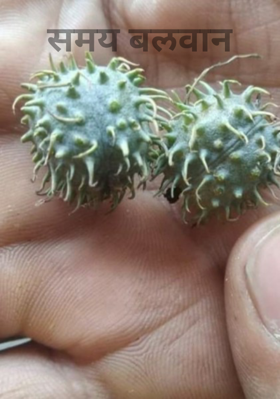 समय बलवान