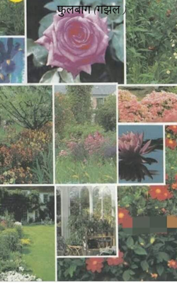 फुलबाग (गझल )