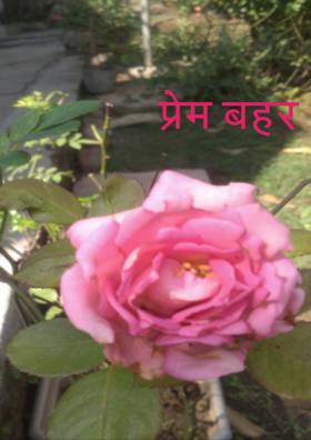 प्रेम बहर