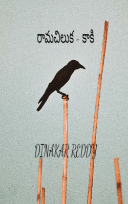 రామచిలుక - కాకి