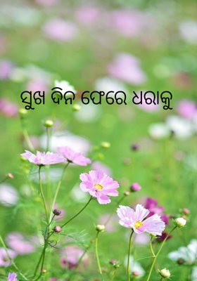 ସୁଖ ଦିନ ଫେରେ ଧରାକୁ