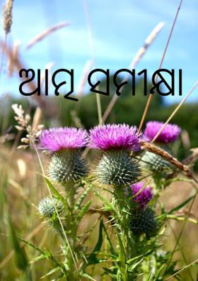 ଆତ୍ମ ସମୀକ୍ଷା