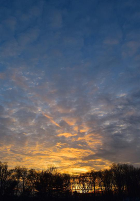 Whispers of the Colours in  Sky