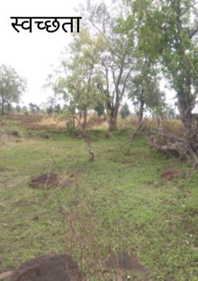 स्वच्छता अभियान