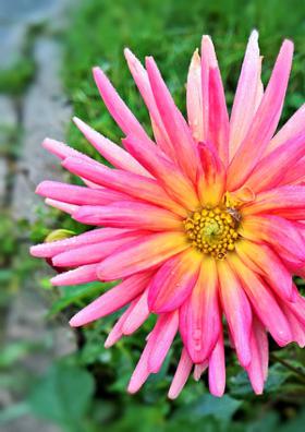 ప్రేమంటే