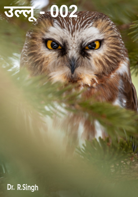 उल्लू - 002