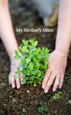 My Mother’s Mints