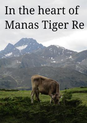 In The Heart Of Manas Tiger Reserve