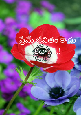 ప్రేమే జీవితం కాదు కదా.....!