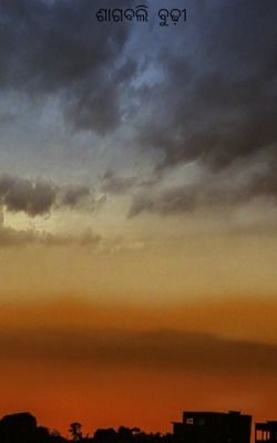 ଶାଗବଲି  ବୁଢ଼ୀ