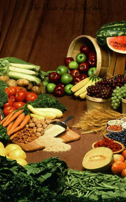 The Pride Of Our Nation