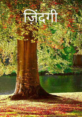 ज़िंदगी