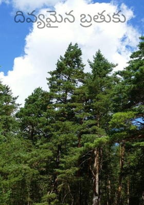 దివ్యమైన బ్రతుకు