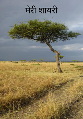 मेरी शायरी