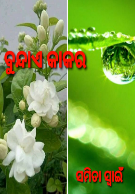 ବୁନ୍ଦାଏ କାକର