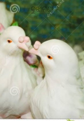 ବୁଝାମଣା