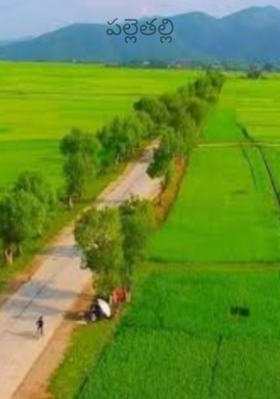 పల్లెతల్లి