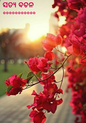 ସତ୍ୟ ବଚନ