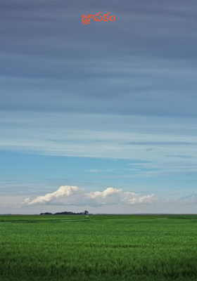 జ్ఞాపకం