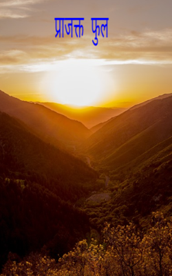 प्राजक्त फुल 