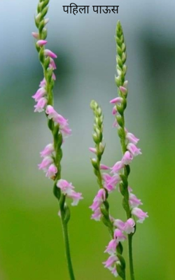 पहिला पाऊस