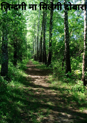 ज़िन्दगी ना मिलेगी दोबारा