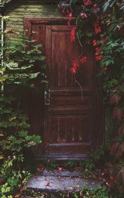 ମୋ ଅର୍ଦ୍ଧାଙ୍ଗିନୀ