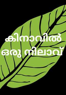 കിനാവിൽ ഒരു നിലാവ്