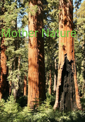 Mother Nature