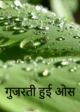 गुजरती हुई ओस