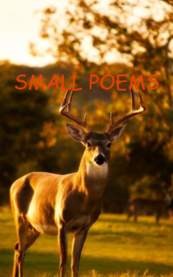 Small Poems