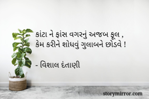 કાંટા ને ફાંસ વગરનું અજબ ફૂલ ,
કેમ કરીને શોધવું ગુલાબને છોડવે !

- વિશાલ દંતાણી 
