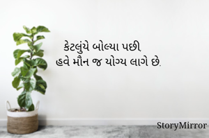       કેટલુંયે બોલ્યા પછી, 
         હવે મૌન જ યોગ્ય લાગે છે.