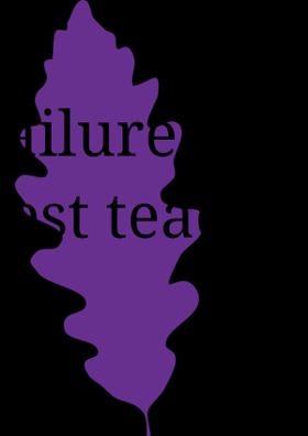 Failure Is The Best Teacher