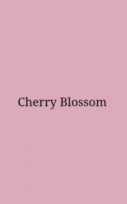 Cherry Blossom