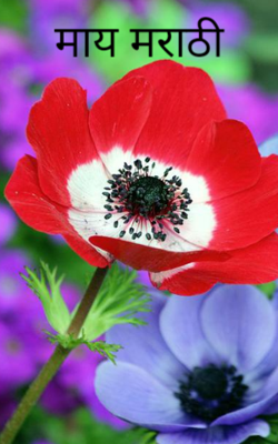 माय मराठी