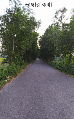 ভাষার কথা