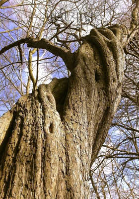 મારી યાદો