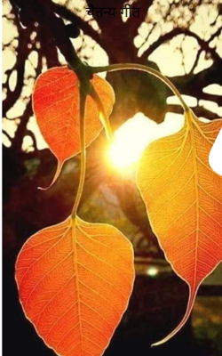 चैतन्य गीत