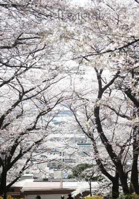 હું નથી જાણતો