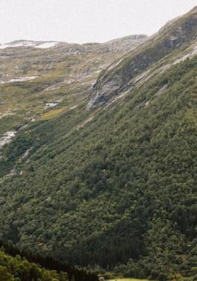 प्राणी ओळख बालगीत