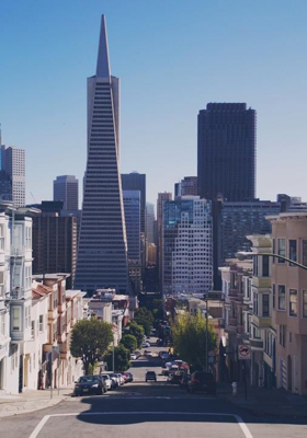 The New Boy in the City