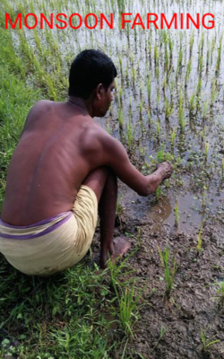 Monsoon Farming