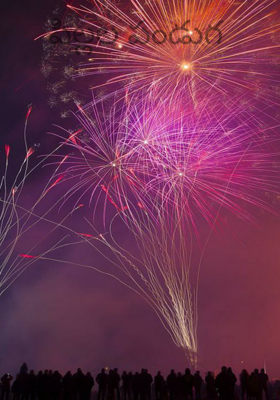 పిల్లల పండుగ