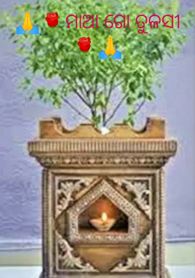 ମାଆ ଗୋ ତୁଳସୀ