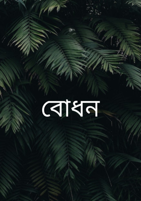 বোধন