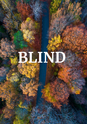 Blind