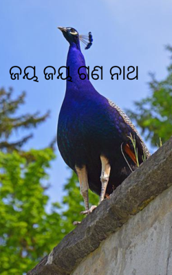 ଜୟ ଜୟ ଗଣ ନାଥ